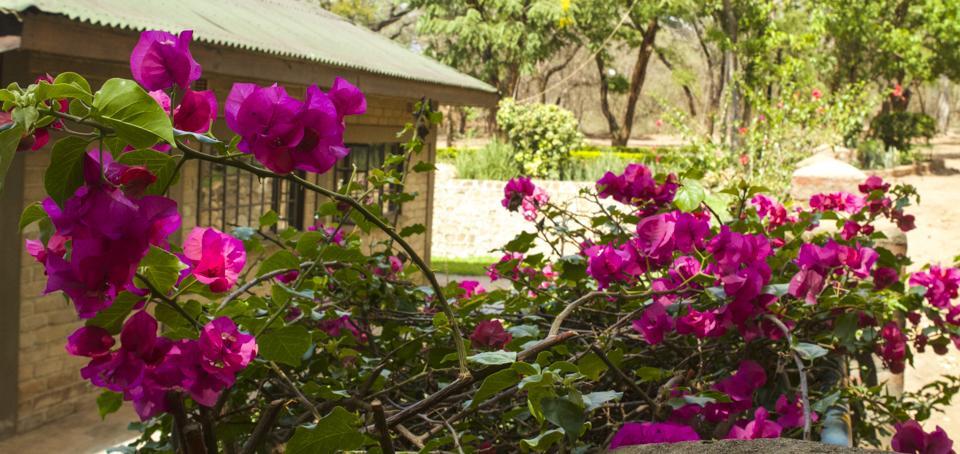 Woodlands Lilongwe Hotell Exteriör bild