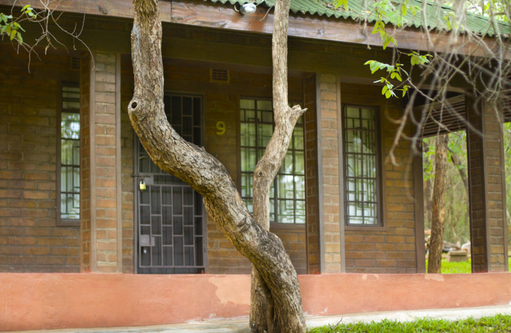 Woodlands Lilongwe Hotell Exteriör bild